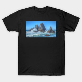 Camel Rock Waves T-Shirt